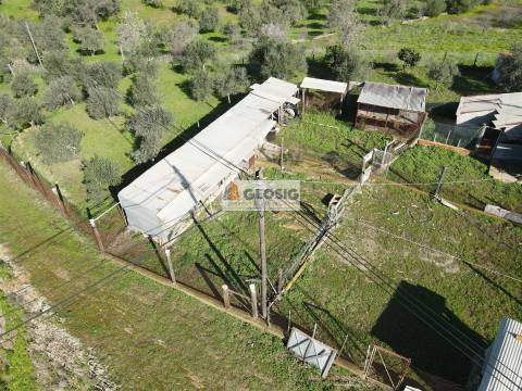 Terreno  Venda em Espírito Santo,Mértola