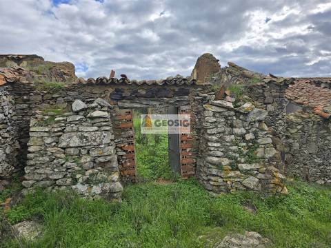 Terreno Rústico  Venda em Castro Verde e Casével,Castro Verde