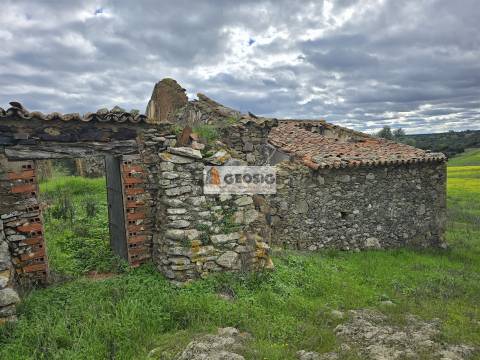 Terreno Rústico  Venda em Castro Verde e Casével,Castro Verde