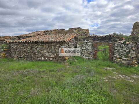 Terreno Rústico  Venda em Castro Verde e Casével,Castro Verde