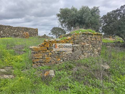 Terreno Rústico  Venda em Castro Verde e Casével,Castro Verde
