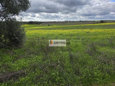 Terreno Rústico  Venda em Castro Verde e Casével,Castro Verde