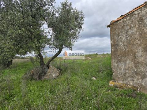 Terreno Rústico  Venda em Castro Verde e Casével,Castro Verde
