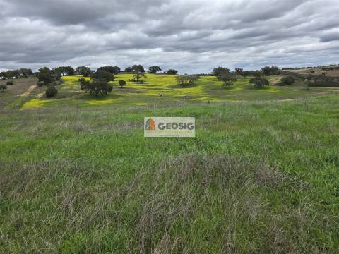 Terreno Rústico  Venda em Castro Verde e Casével,Castro Verde