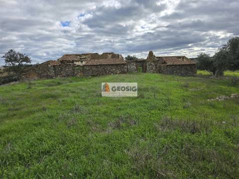 Terreno Rústico  Venda em Castro Verde e Casével,Castro Verde
