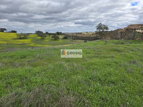 Terreno Rústico  Venda em Castro Verde e Casével,Castro Verde