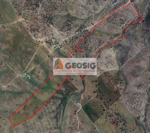 Terreno Rústico  Venda em Castro Verde e Casével,Castro Verde