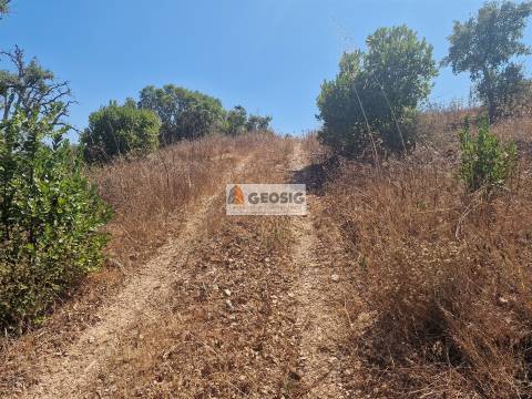 Terreno Rústico  Venda em Santana da Serra,Ourique