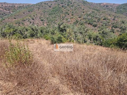 Terreno Rústico  Venda em Santana da Serra,Ourique