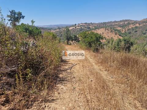 Terreno Rústico  Venda em Santana da Serra,Ourique