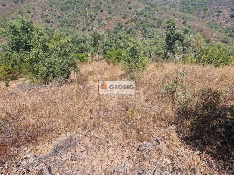 Terreno Rústico  Venda em Santana da Serra,Ourique