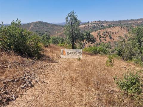 Terreno Rústico  Venda em Santana da Serra,Ourique