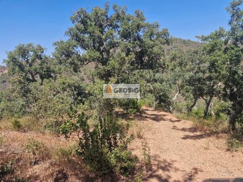 Terreno Rústico  Venda em Santana da Serra,Ourique