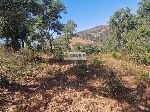 Terreno Rústico  Venda em Santana da Serra,Ourique