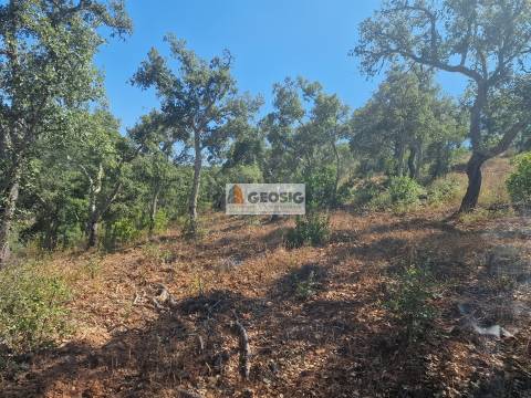 Terreno Rústico  Venda em Santana da Serra,Ourique