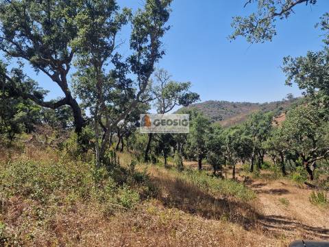 Terreno Rústico  Venda em Santana da Serra,Ourique