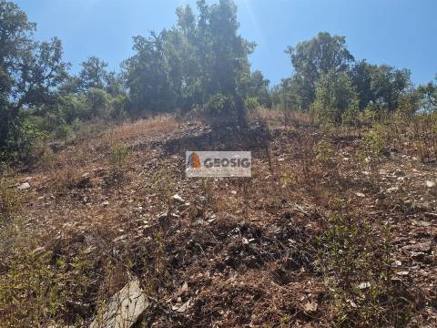 Terreno Rústico  Venda em Santana da Serra,Ourique