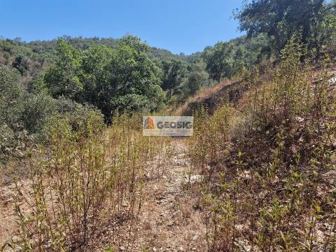 Terreno Rústico  Venda em Santana da Serra,Ourique