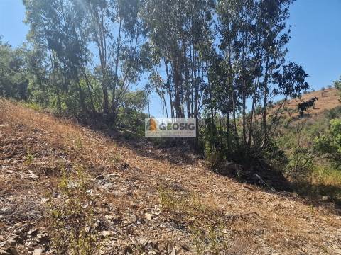 Terreno Rústico  Venda em Santana da Serra,Ourique