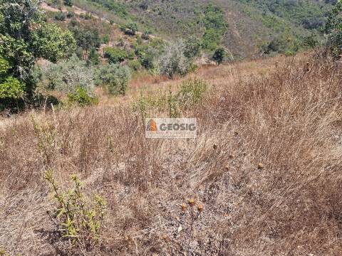 Terreno Rústico, Beja, Ourique, Santana da Serra