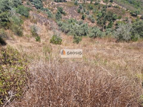 Terreno Rústico, Beja, Ourique, Santana da Serra
