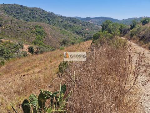 Terreno Rústico, Beja, Ourique, Santana da Serra