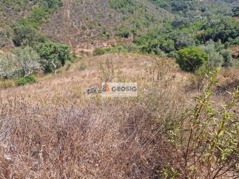 Terreno Rústico, Beja, Ourique, Santana da Serra