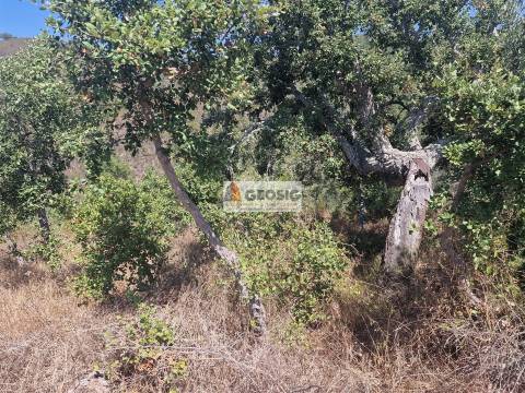 Terreno Rústico, Beja, Ourique, Santana da Serra