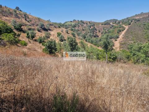 Terreno Rústico, Beja, Ourique, Santana da Serra