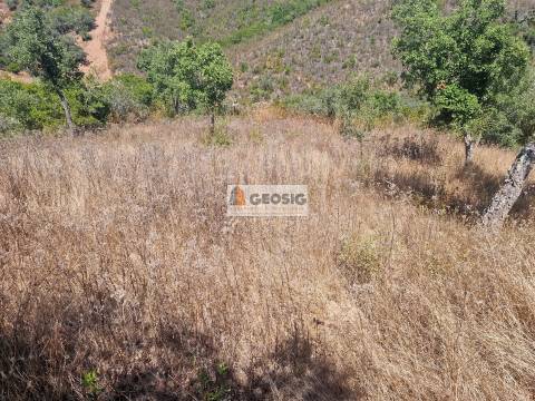 Terreno Rústico, Beja, Ourique, Santana da Serra