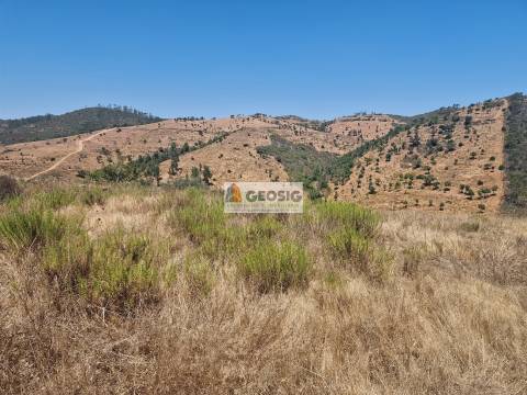 Herdade T2 Venda em Santana da Serra,Ourique