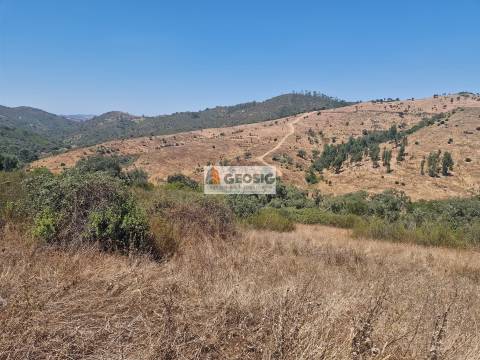 Herdade T2 Venda em Santana da Serra,Ourique