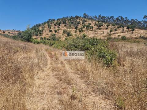 Herdade T2 Venda em Santana da Serra,Ourique