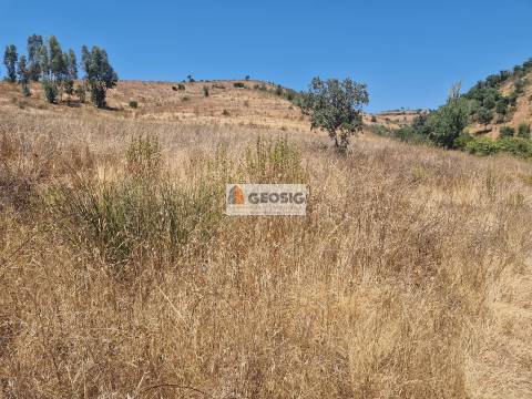 Herdade T2 Venda em Santana da Serra,Ourique
