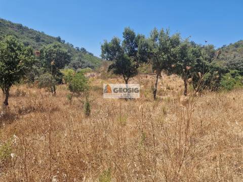 Herdade T2 Venda em Santana da Serra,Ourique