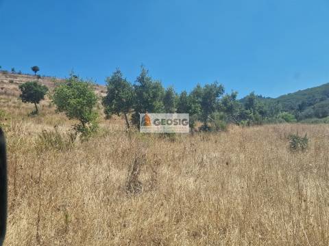 Herdade T2 Venda em Santana da Serra,Ourique