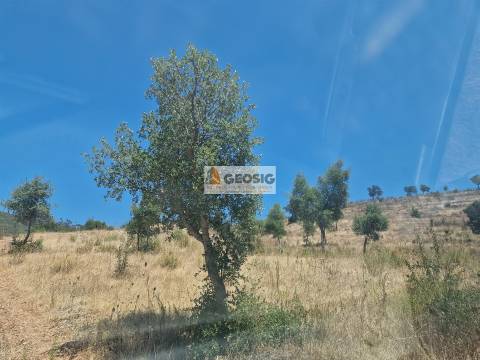 Herdade T2 Venda em Santana da Serra,Ourique