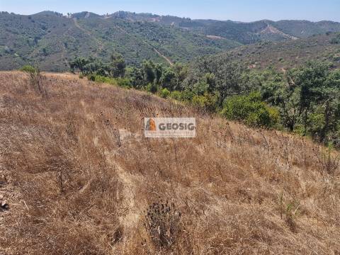 Herdade T2 Venda em Santana da Serra,Ourique
