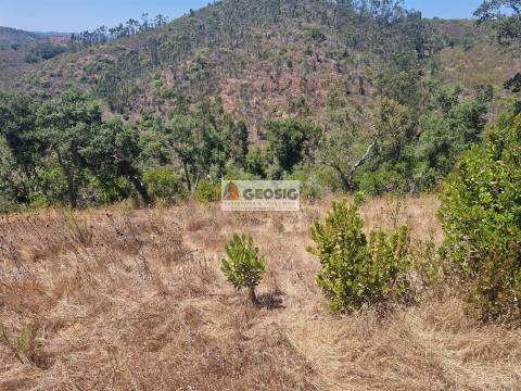 Herdade T2 Venda em Santana da Serra,Ourique