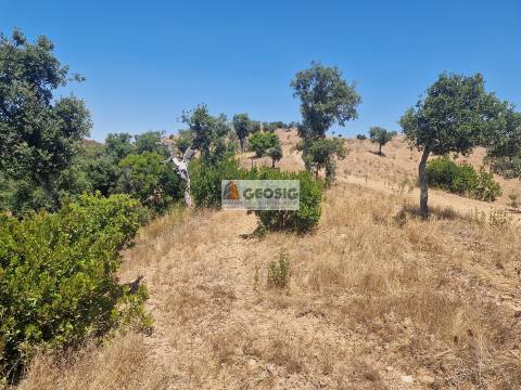 Herdade T2 Venda em Santana da Serra,Ourique