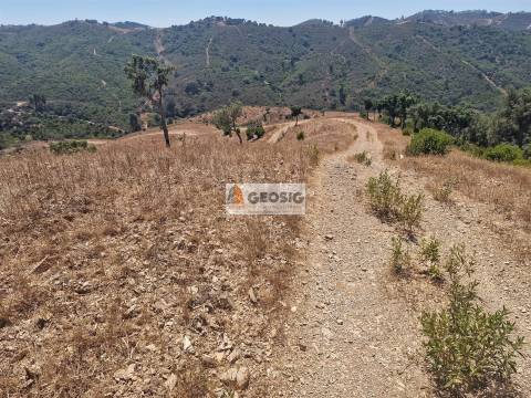 Herdade T2 Venda em Santana da Serra,Ourique
