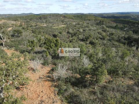 Quintinha T1 Venda em Relíquias,Odemira