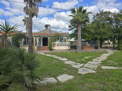 Moradia T4 Venda em São Miguel do Pinheiro, São Pedro de Solis e São Sebastião dos Carros,Mértola