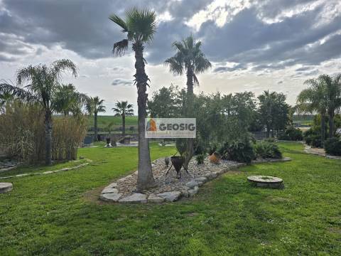 Moradia T4 Venda em São Miguel do Pinheiro, São Pedro de Solis e São Sebastião dos Carros,Mértola