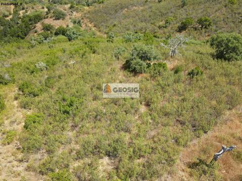 Terreno Rústico  Venda em São Barnabé,Almodôvar