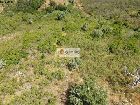 Terreno Rústico  Venda em São Barnabé,Almodôvar