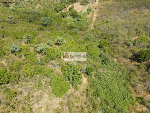 Terreno Rústico  Venda em São Barnabé,Almodôvar