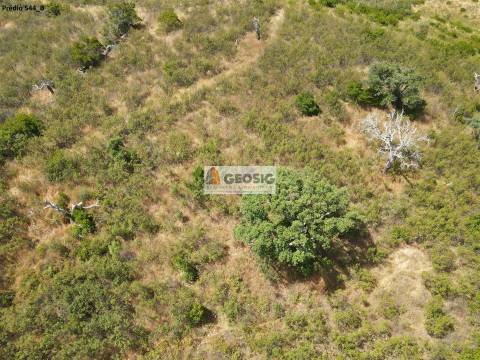 Terreno Rústico  Venda em São Barnabé,Almodôvar
