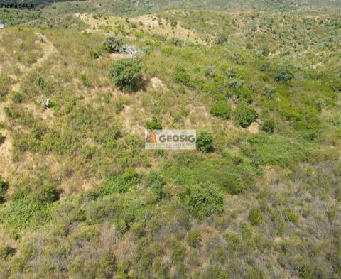 Terreno Rústico  Venda em São Barnabé,Almodôvar