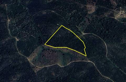 Terreno Rústico  Venda em São Barnabé,Almodôvar